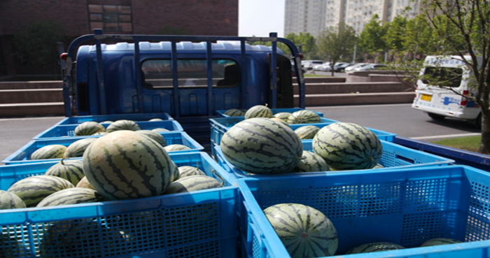 1554258960441574XDVa.png 1554258960441574XDVa.png