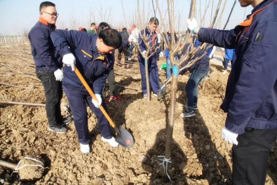 1554259235384944uPOI.png }`~0G[~7@55`1GW}TWZR4GA.png