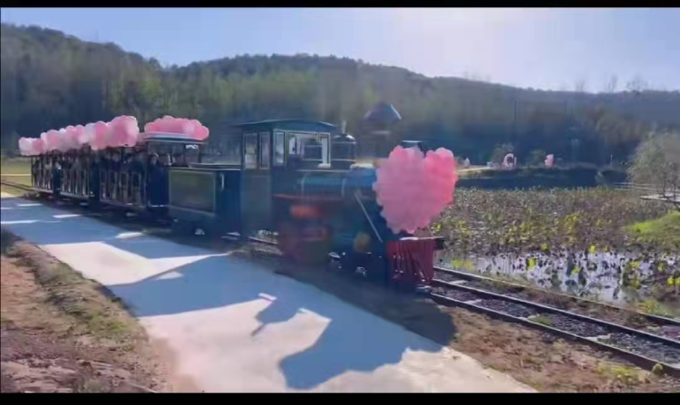 1637111882531410cYAV.png Background (2).png