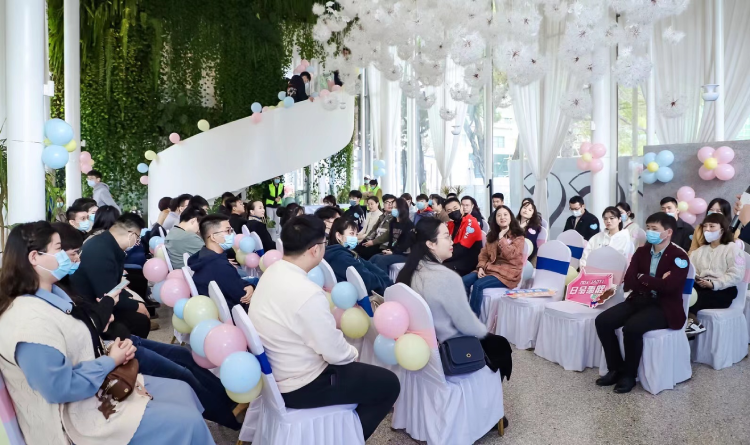 1669079500425156f8o5.png Background (5).png