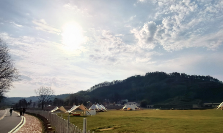 1678341969129834Sk0C.png Layer 0 (6).png