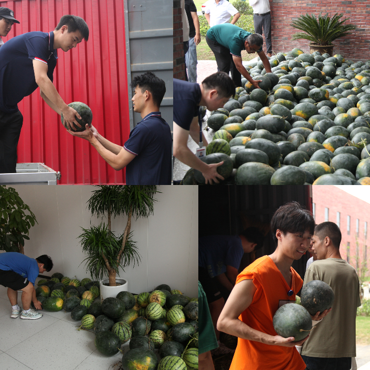 1690960468591165AiNT.jpeg MTXX_PT20230802_091807131(1)(1).jpeg