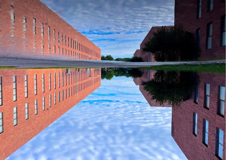 1732611266554454V5tP.jpg 圖片1 (7).jpg