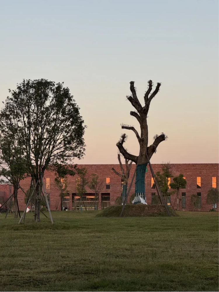 1732611336468328d5x9.jpg 圖片4 (2).jpg