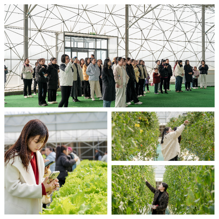 1741682039165207AEtd.jpg 下載.jpg